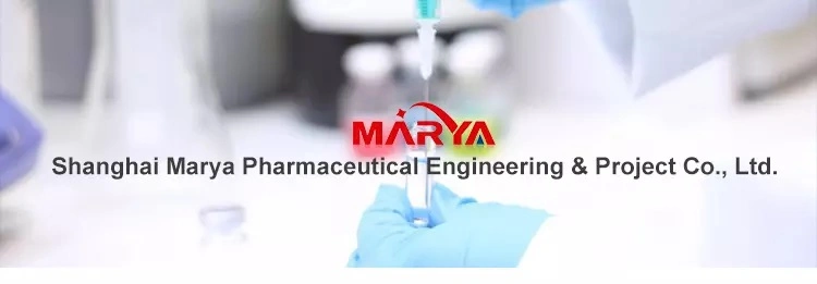 Marya Top Sale Approved Class II Biosafety Cabinet in Clean Cabinet Biohazard Chemical Work Station for Laboratory &amp; Hospital