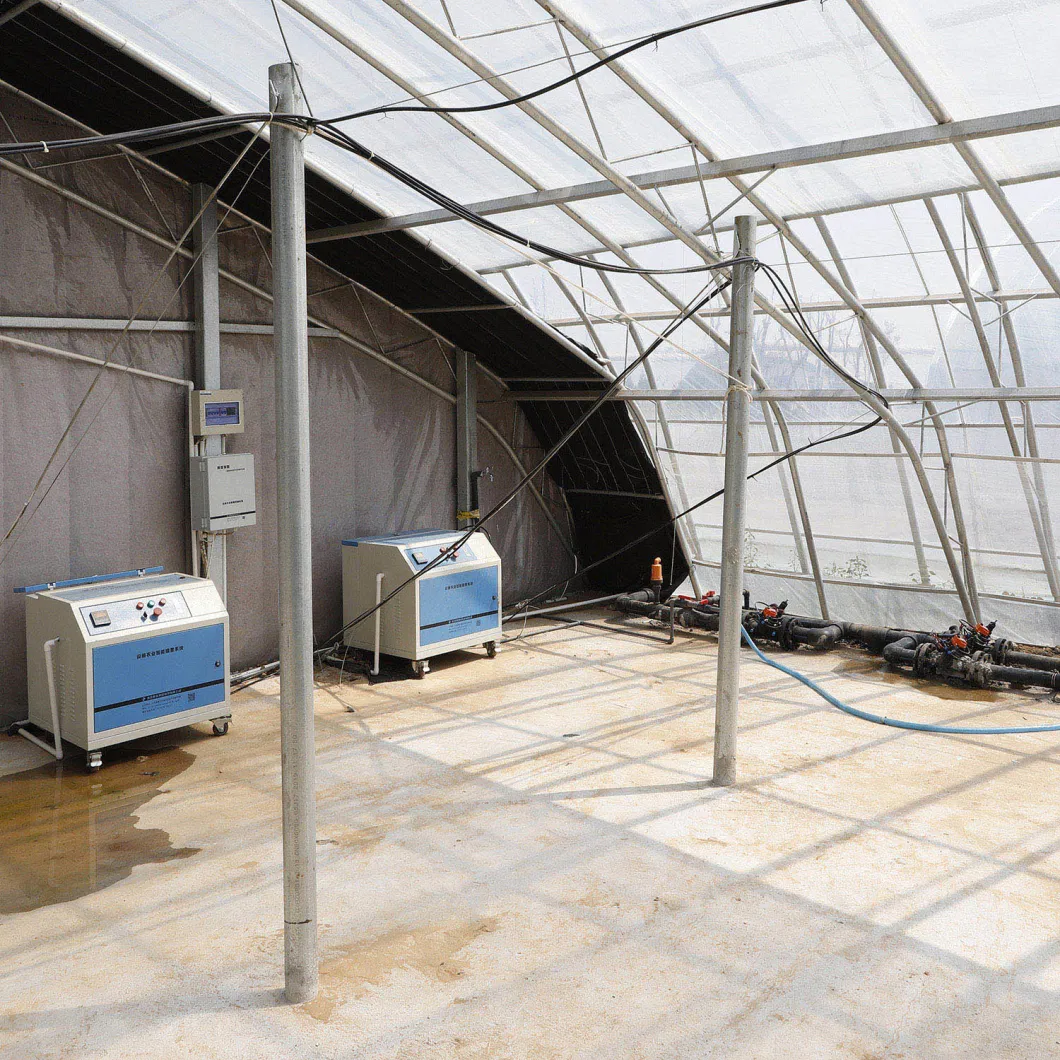 Good Quality Film Covered Customized Big Tunnel Greenhouse with Automatic Fertilizer and Irrigation System