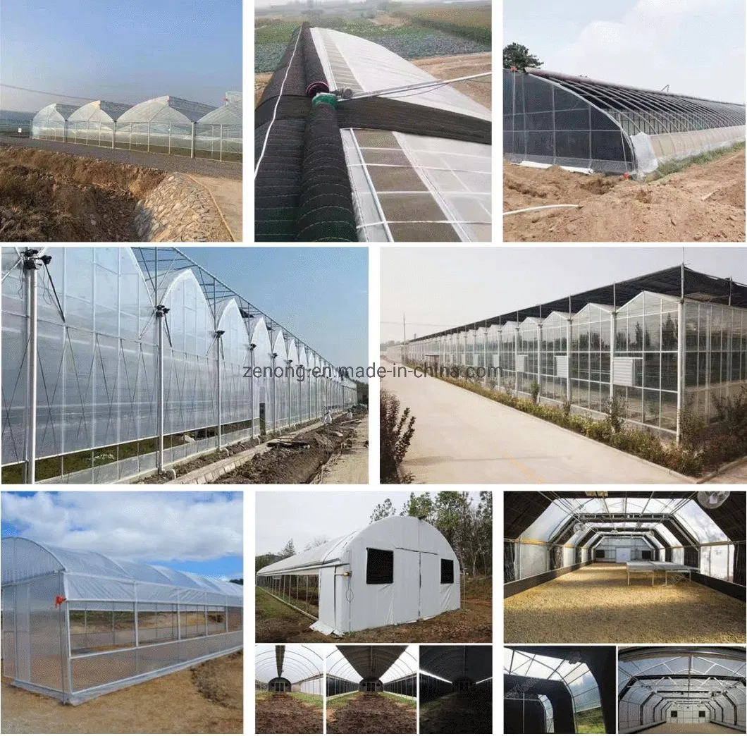 China Multi-Span Tunnel/Arch Type PE/Po Film Plastic Agricultural/ Commercial Eco Greenhouses Cucumber Strawberry Hydroponics Growing System