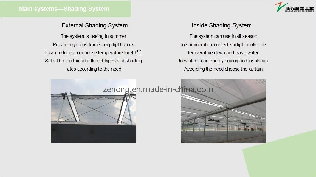 China Multi-Span Tunnel/Arch Type PE/Po Film Plastic Agricultural/ Commercial Eco Greenhouses Cucumber Strawberry Hydroponics Growing System