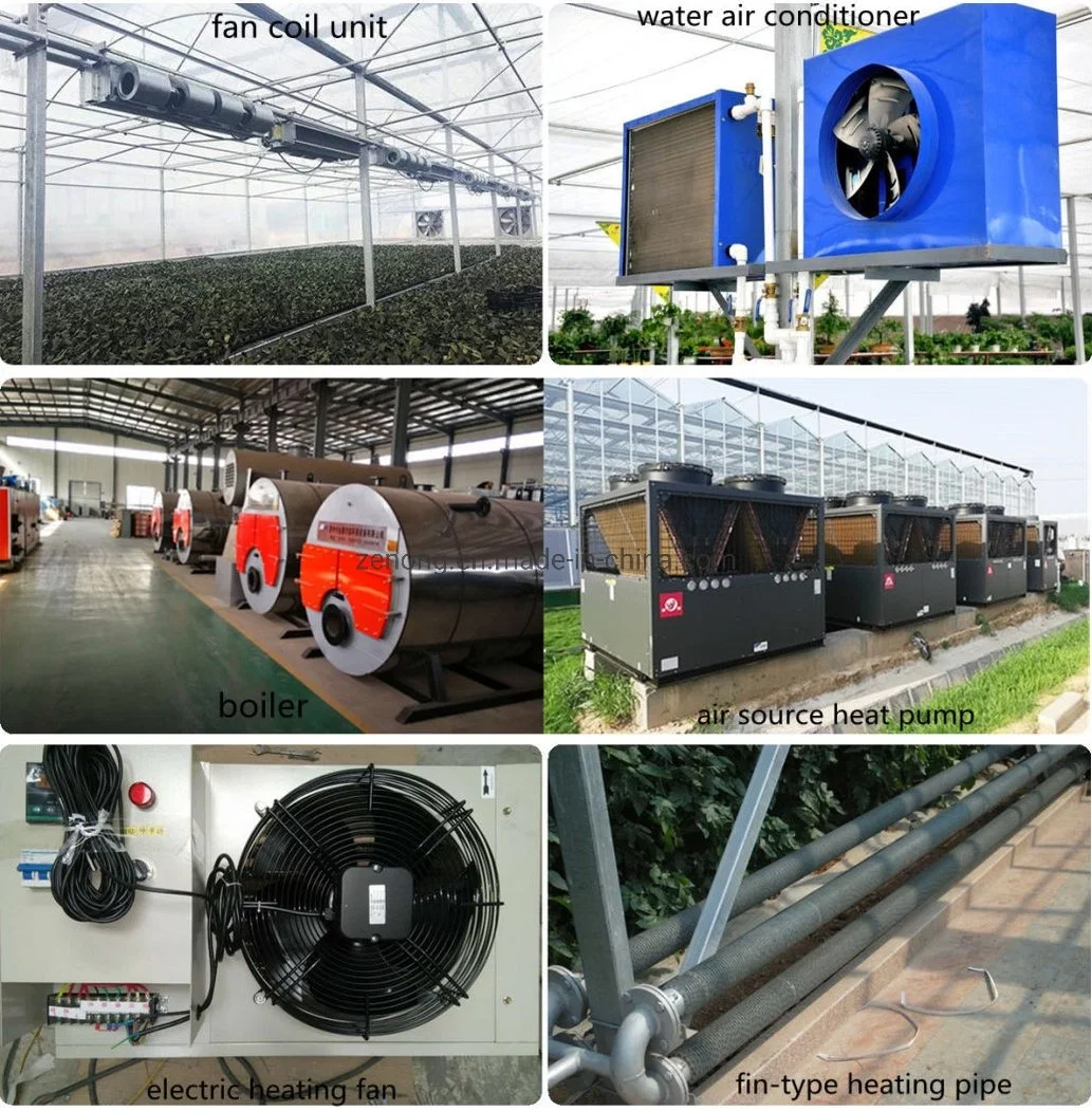 China Multi-Span Tunnel/Arch Type PE/Po Film Plastic Agricultural/ Commercial Eco Greenhouses Cucumber Strawberry Hydroponics Growing System