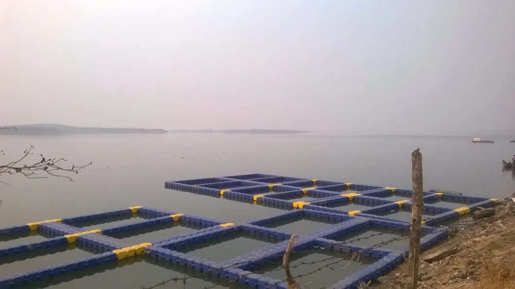 Fish Farming Tanks to Malaysia