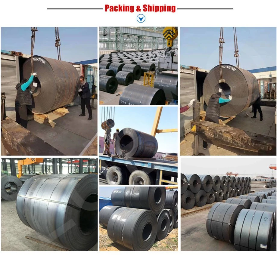 ASTM A36 Q235B SAE1006b 300mm*2000mm Customized Dimensions Mild Carbon Steel Coil