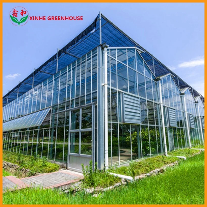 Factory Customized Xinhe Solar Hydroponic System for Greenhouses Green House Glass Greenhouse