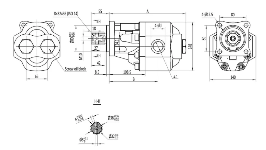 Southeast Asian Customers Rear Outlet Truck Hydraulic Gear Pump