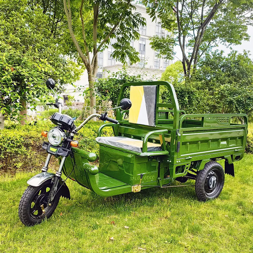 High Quality Cargo Motorcycle Three Wheel Motorcycle