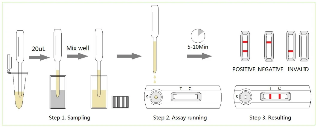 Ehrlichia Babesia Gibsoni Anaplasma Antibody Combo Test Canine Ehrlichia Treatment