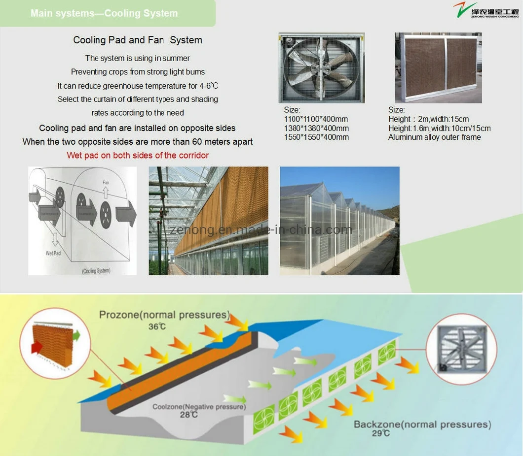 China Multi-Span Tunnel/Arch Type PE/Po Film Plastic Agricultural/ Commercial Eco Greenhouses Cucumber Strawberry Hydroponics Growing System