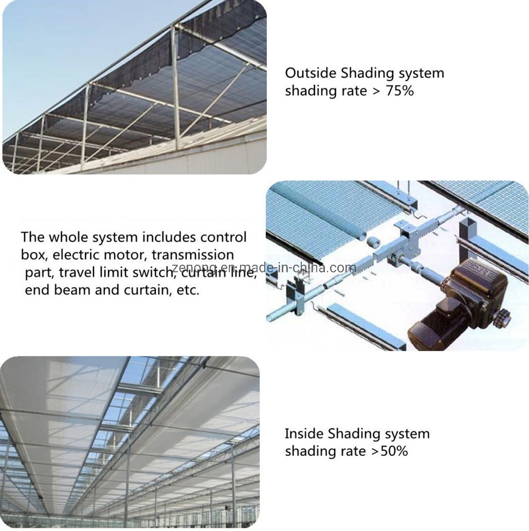 China Multi-Span Tunnel/Arch Type PE/Po Film Plastic Agricultural/ Commercial Eco Greenhouses Cucumber Strawberry Hydroponics Growing System