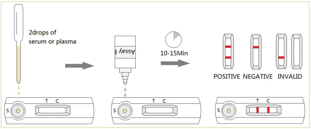 Rabies Virus Antibody Rapid Test Rabies Treatments