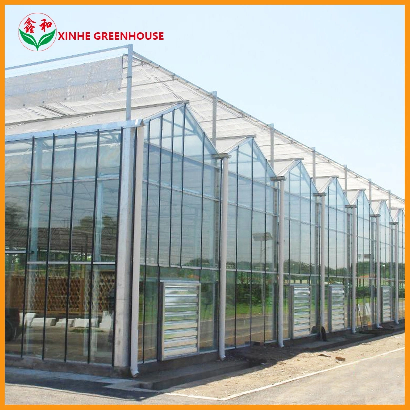 Factory Customized Xinhe Solar Hydroponic System for Greenhouses Green House Glass Greenhouse