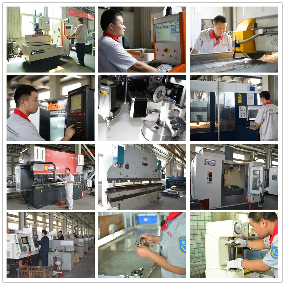 Type 1200 Automatic Large Capacity Fried Instant Noodles Production Line