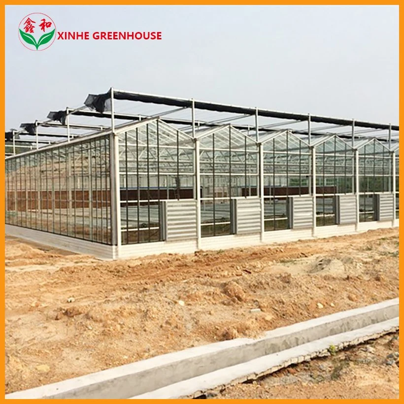 Factory Customized Xinhe Solar Hydroponic System for Greenhouses Green House Glass Greenhouse