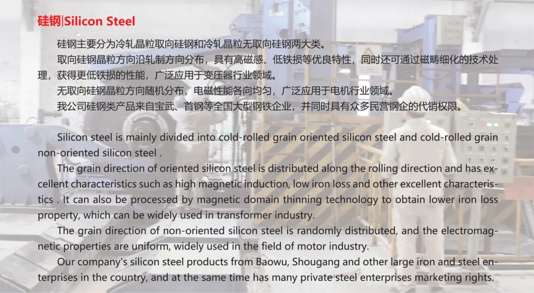 CRGO/CRNGO Steel Coil/Strip, Quality Supervision Throughout The Process