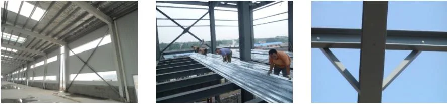 Quick Build Building Prefabricated Steel Warehouse Workshop Hangar Steel Structure