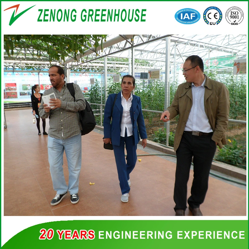 Greenhouse a-Frame Hydroponic System with Substrate for Vertical Farming for Strawberry/Leafy Vegetables