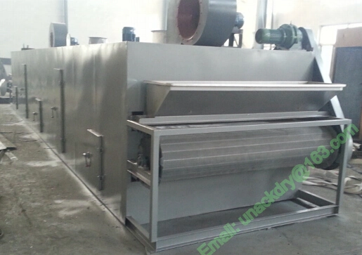 Fresh Fruit and Vegetable Drying Line/ Belt Dryer Line