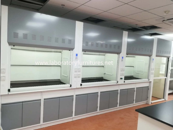 SGS Steel Laboratory Fume Hood with European Design Shanghai Jh-FC017