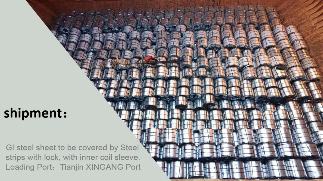 Various Grades/Dimensions/Specifications SPCC Dx51d Dx52D Dx53D Dx54D Anti Fingerprint Aluzinc Zinc Coated Galvalume Galvanized Steel Coil Market Supplier Price