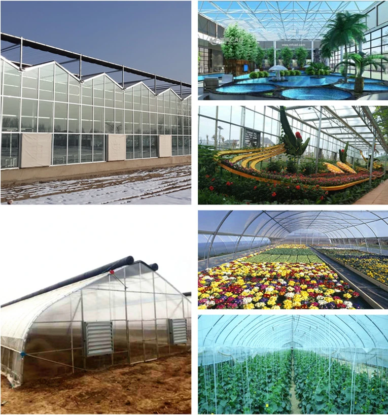 Agriculture Poly Carbonate Greenhouse Hydroponics System