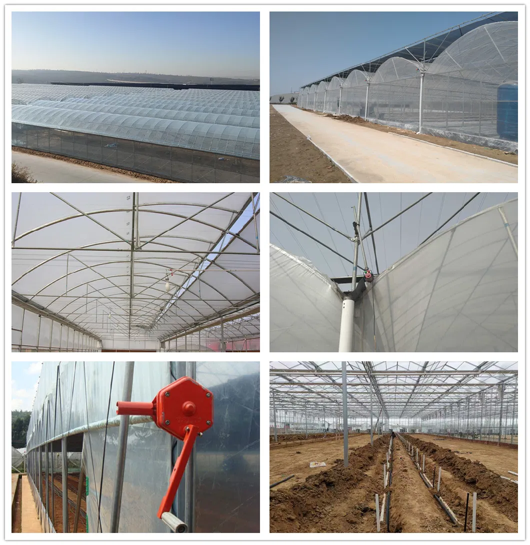 China Multi-Span Tunnel/Arch Type PE/Po Film Plastic Agricultural/ Commercial Eco Greenhouses Cucumber Strawberry Hydroponics Growing System