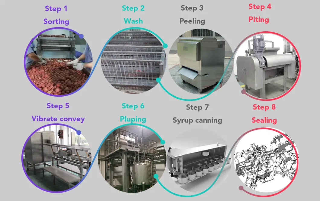 Litchi and Longan Peeling Machine and Process Canned Lychees Litchi Production Line