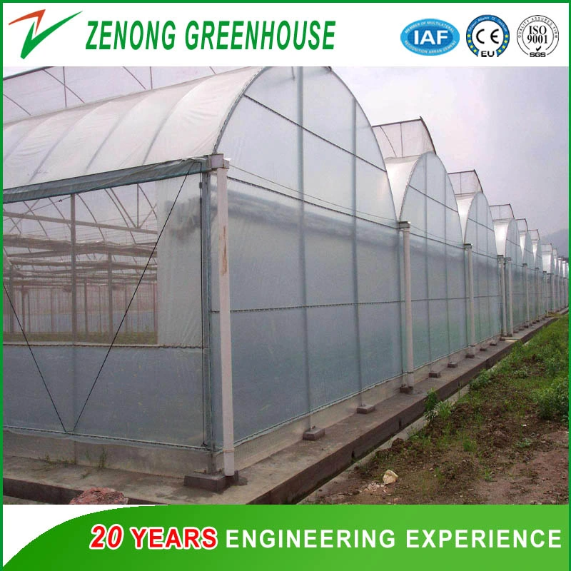 Agricultural Hydroponic Systems for Greenhouse for Exhibition/Seed-Breeding/Flower/Vegetable/Eco Restaurant