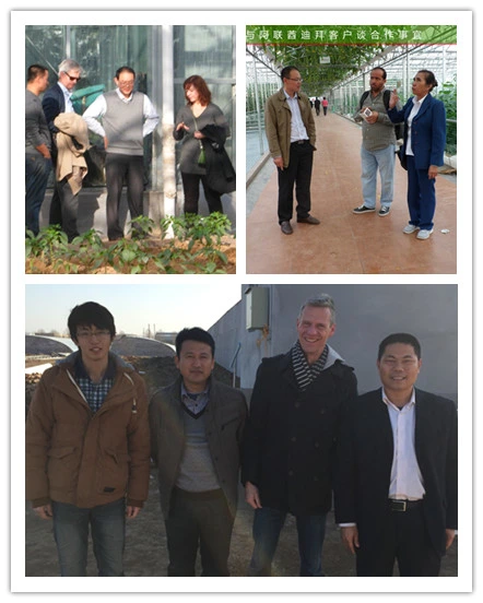 Agricultural Hydroponic Systems for Greenhouse for Exhibition/Seed-Breeding/Flower/Vegetable/Eco Restaurant