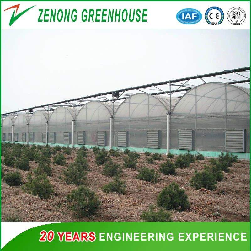 Agricultural Hydroponic Systems for Greenhouse for Exhibition/Seed-Breeding/Flower/Vegetable/Eco Restaurant