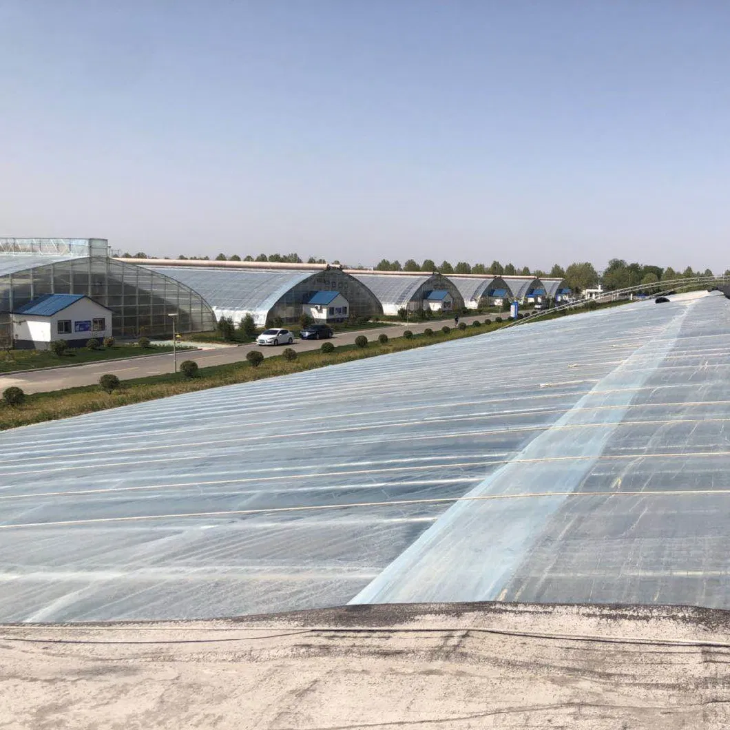 Good Quality Film Covered Customized Big Tunnel Greenhouse with Automatic Fertilizer and Irrigation System