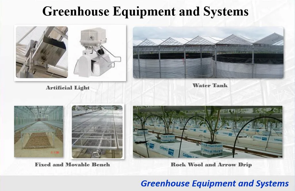 Film Greenhouse Automatic Dripping Irrigation System for Flower