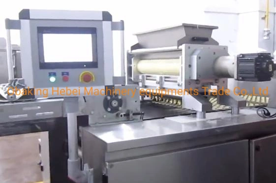 Large Capacity Full Automatic Cookies Biscuits Make up Line with Stainless Steel Bond Oven Cookies Depostior Double Colors