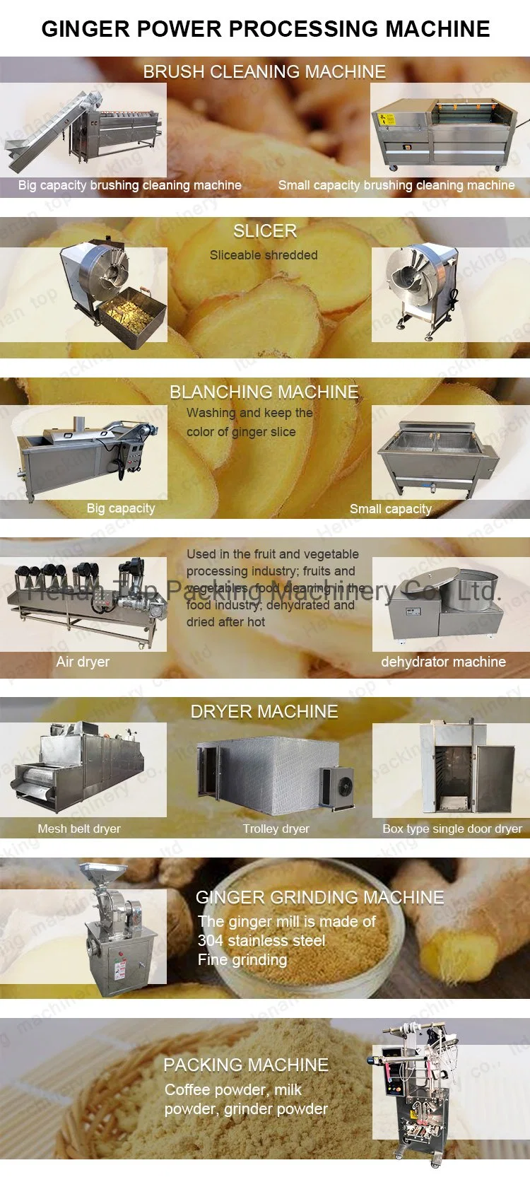 Garlic Powder Processing Line Garlic Turmeric Washing Grinding Machine Price