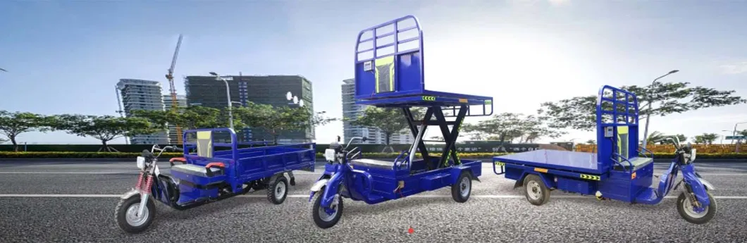 EU Hot Selling Electric Tricycles 3 Wheel Electric Cargo Tricycles for Adult