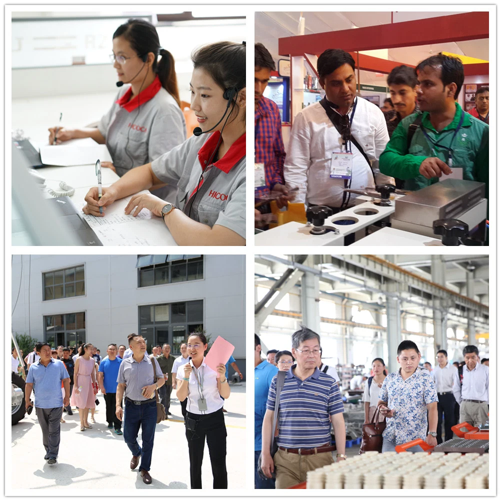 Straight Dry Rice Noodle Production Line with Rice as The Main Raw Material