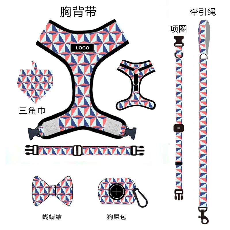 Personalised Dog Harness Dog Leash to a Brit Crossword Clue