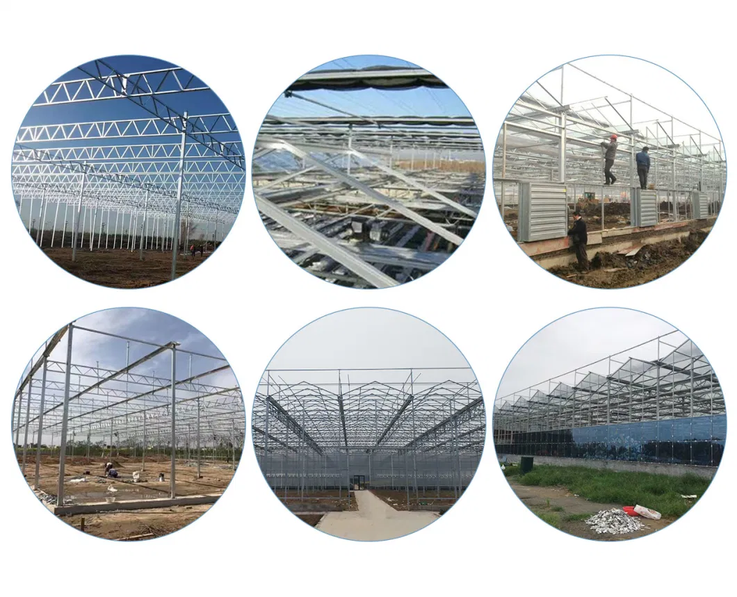 Factory Customized Xinhe Solar Hydroponic System for Greenhouses Green House Glass Greenhouse