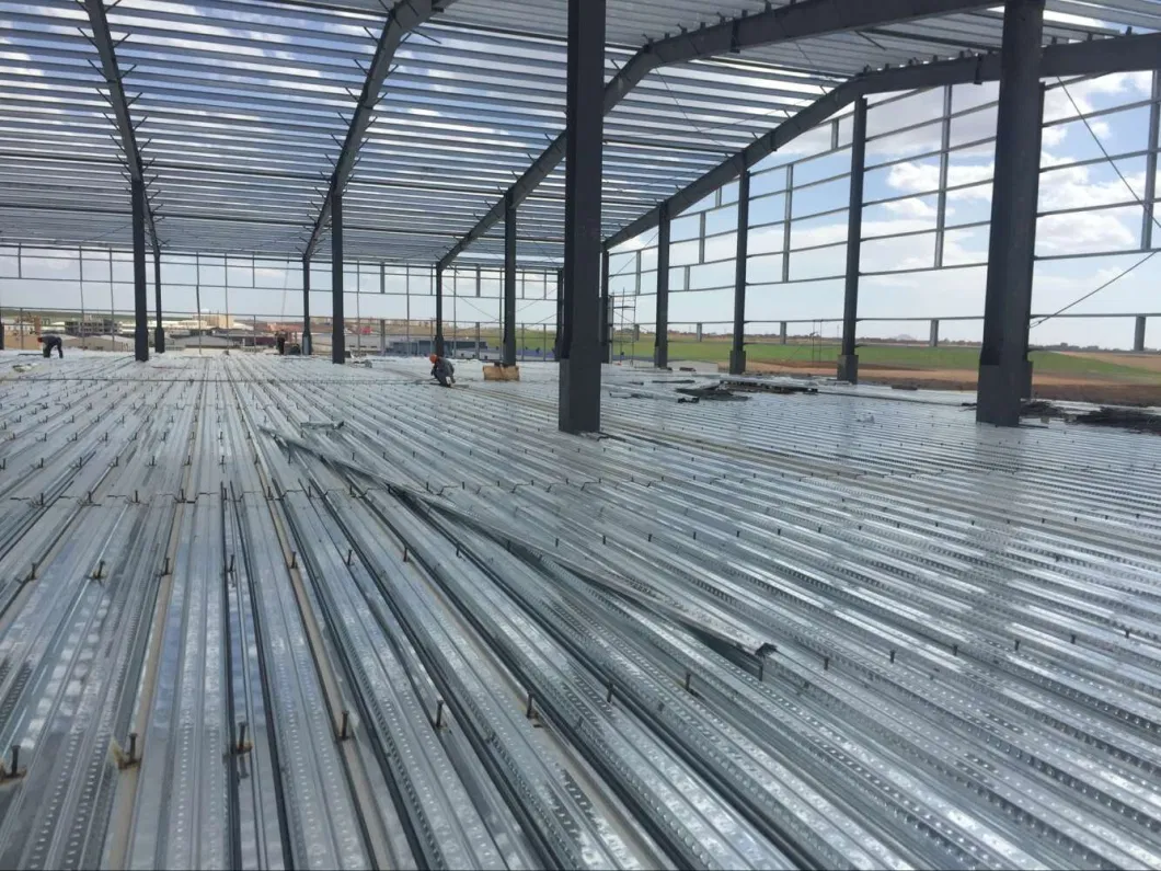 Prefabricated Steel Structure Plant (SS-14709)