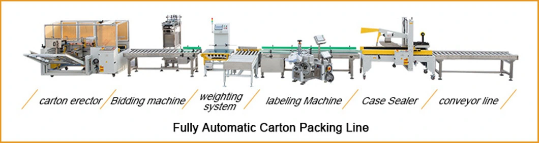 China Products/Suppliers. Automatic PP Tape Carton/Case /Box Strapper/Strap/Strapping Machine with Erecting Sealing Labelling Palletizing System for Packing /PA