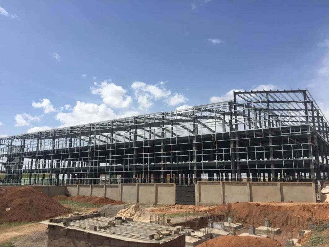 Prefabricated Steel Structure Plant (SS-14709)