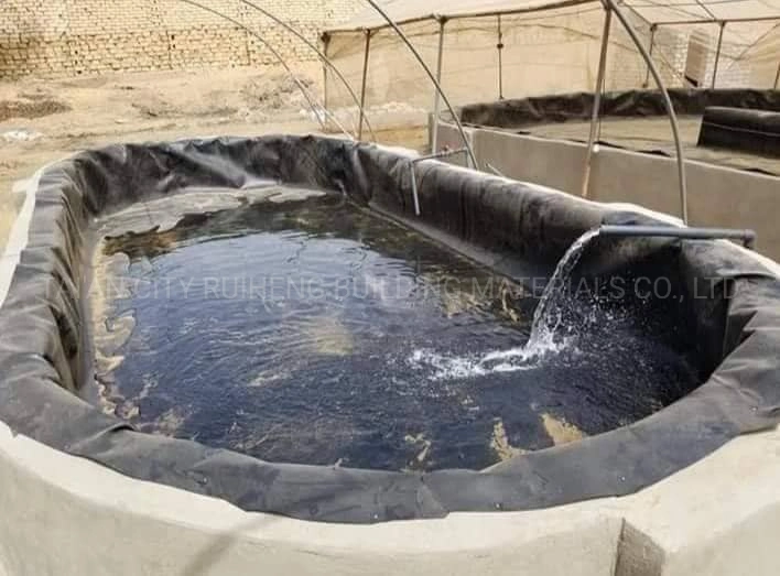 0.3mm/0.8mm/1.2mm/1.5mm/2mm Vannamei Shrimp Catfish Farm HDPE Geomembrane Dam Liner in Chile/Peru/Dominica/Nicaragua/Cambodia