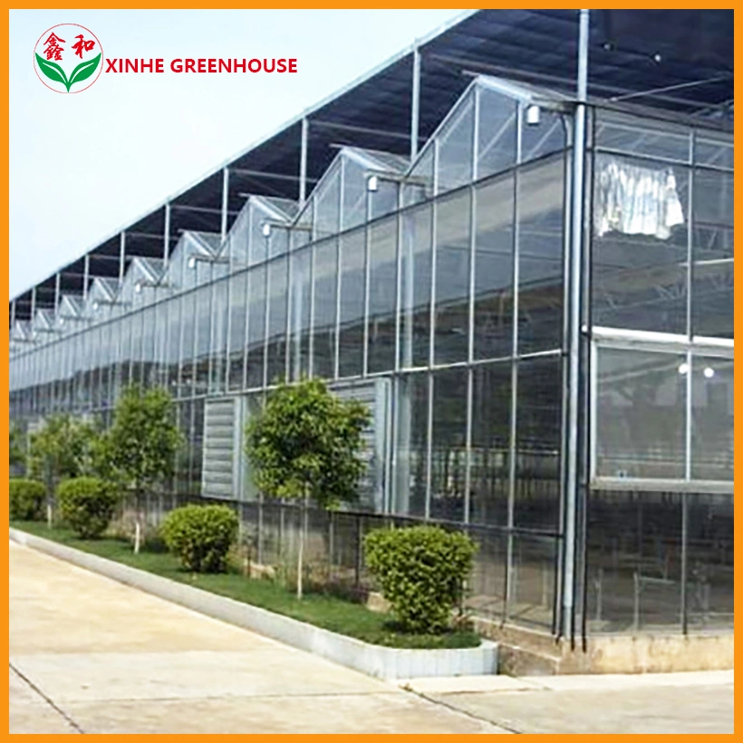 Factory Customized Xinhe Solar Hydroponic System for Greenhouses Green House Glass Greenhouse