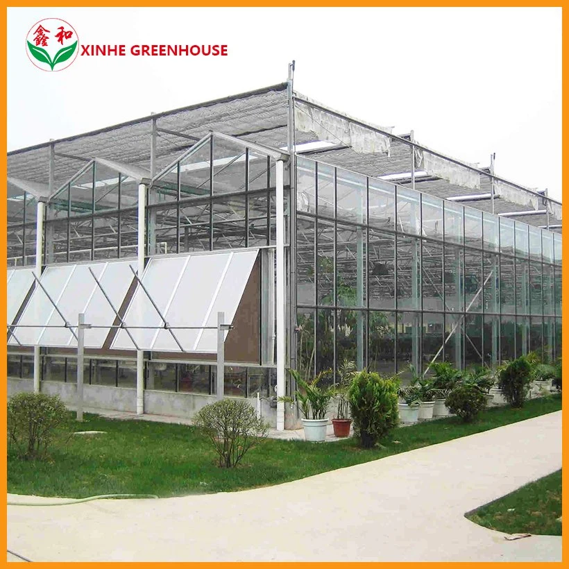 Factory Customized Xinhe Solar Hydroponic System for Greenhouses Green House Glass Greenhouse