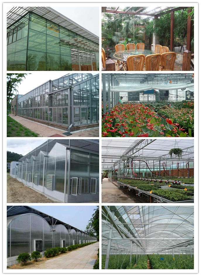 Agricultural Hydroponic Systems for Greenhouse for Exhibition/Seed-Breeding/Flower/Vegetable/Eco Restaurant