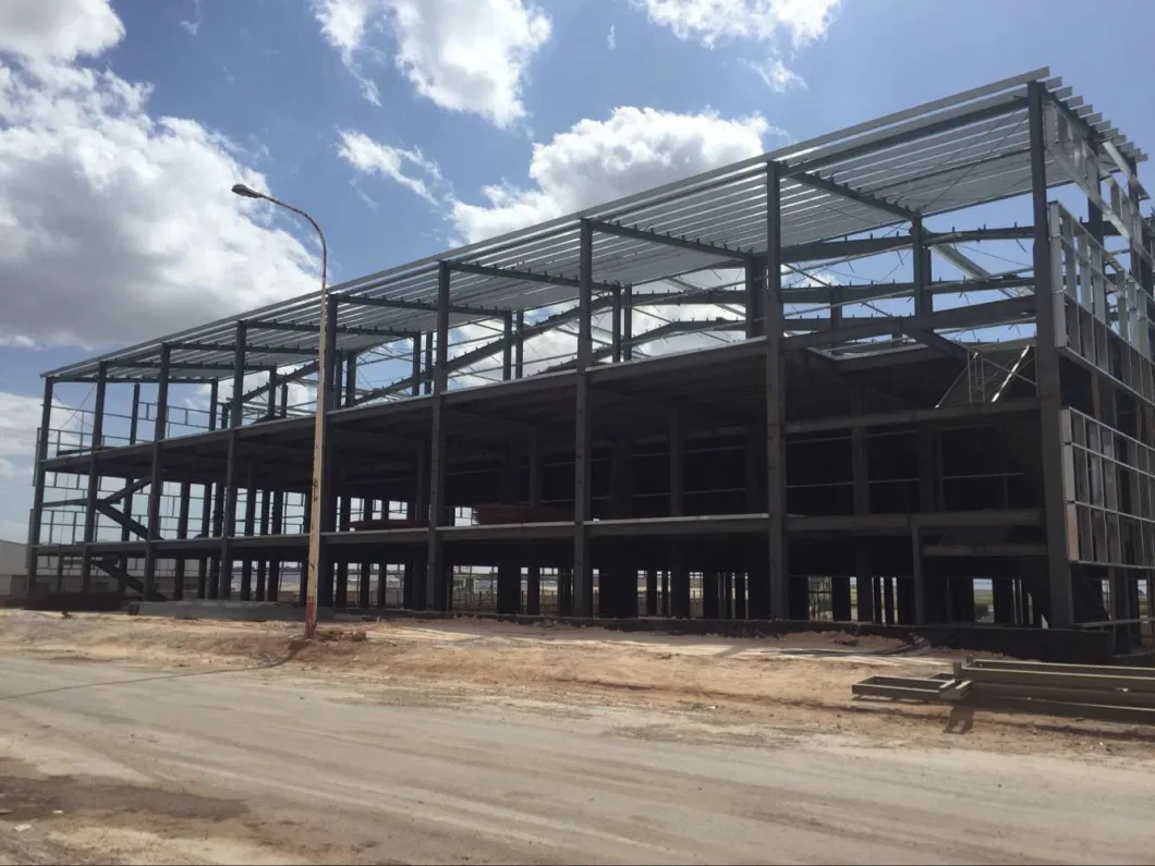 Prefabricated Steel Structure Plant (SS-14709)