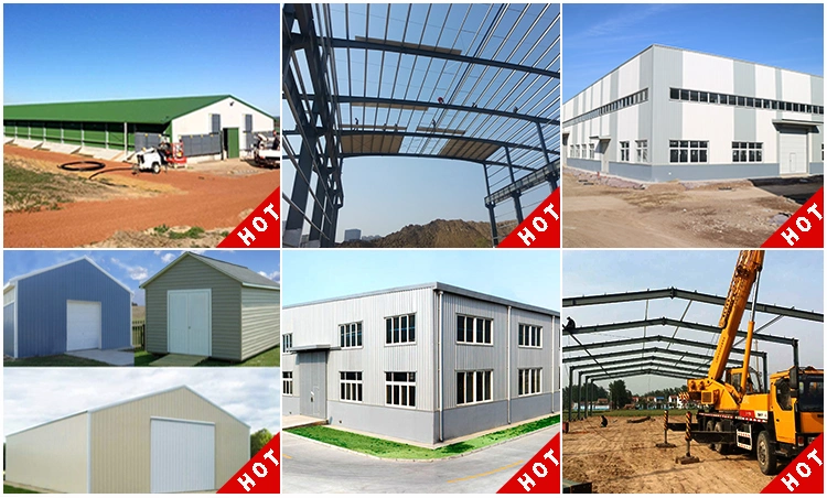 Real Estate Prefabricated Light Steel Structure Warehouse