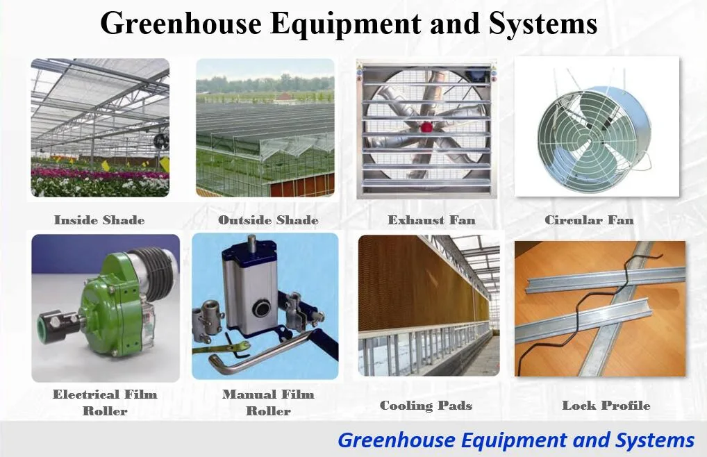 Film Greenhouse Automatic Dripping Irrigation System for Flower