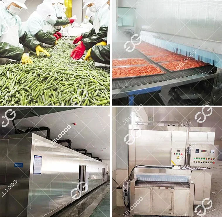 Factory Frozen Corn Niblet Freezing Processing Line IQF Frozen Sweet Corn Machine Production Line