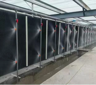 Greenhouse Cooling Deodorization Plastic Wet Curtain