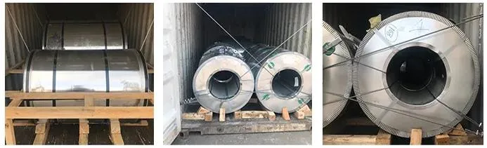 Hot Rolled 0.8mm 1220mm Customized Size Gi Galvanized Steel Coil